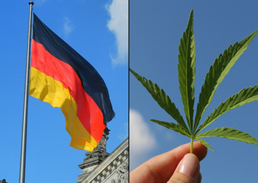 alemania's el próximo gobierno tiene como objetivo legalizar el cannabis recreativo
