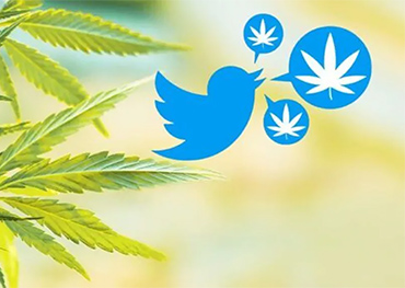 Twitter permitirá publicidad de cannabis