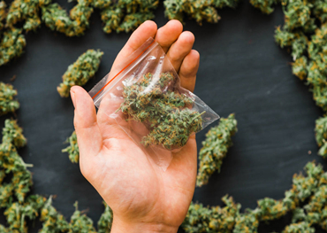 Informe del mercado global de envases de cannabis 2021