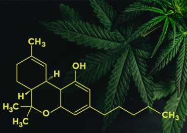 La Cámara de Representantes de Pensilvania aprueba un proyecto de ley para legalizar la marihuana recreativa