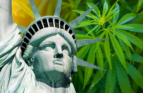 Un veterano inversor en marihuana dice que abrir el mercado de Nueva York es una 