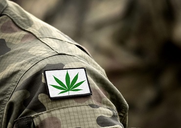 Comité de la Cámara de Representantes considerará un proyecto de ley de investigación sobre los beneficios de la marihuana medicinal para los veteranos