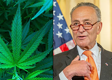 ¡Se acerca la legalización federal del cannabis! u.s.Los demócratas del Senado lanzan un proyecto de ley para legalizar la marihuana