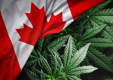mercado canadiense de cannabis