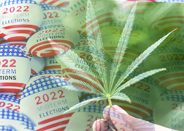Influencia de los exámenes parciales de EE. UU. en la legalización de la marihuana EE. UU. En la boleta electoral en cinco estados