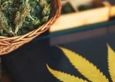 ¡Vendiendo una nueva bebida con un valor de $310,000 a la semana! Esta marca conquistó el mercado estadounidense a través de TikTok usando ingredientes de marihuana.