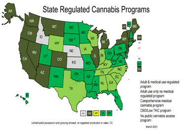 Derecho de la marihuana medicina estatal
