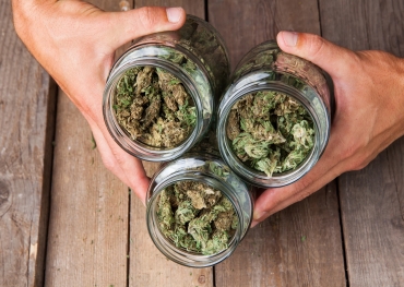 Oportunidades para que los minoristas de cannabis aumenten el retorno de la inversión invirtiendo en envases